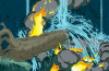 SmokeWaterFire