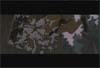 Effects Animation