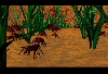 Ants