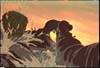 Effects Animation
